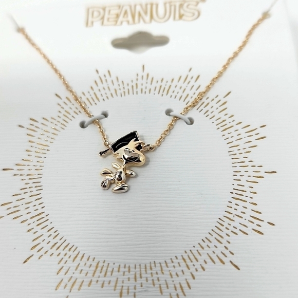 Unwritten Silver Plated "Woodstock" Graduation Pendant Necklace 16" - Picture 3 of 4